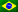 🇧🇷 Portuguese (Brazil)