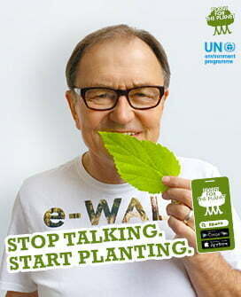 Stop talking. Start planting.