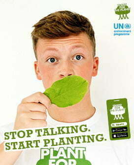Stop talking. Start planting.