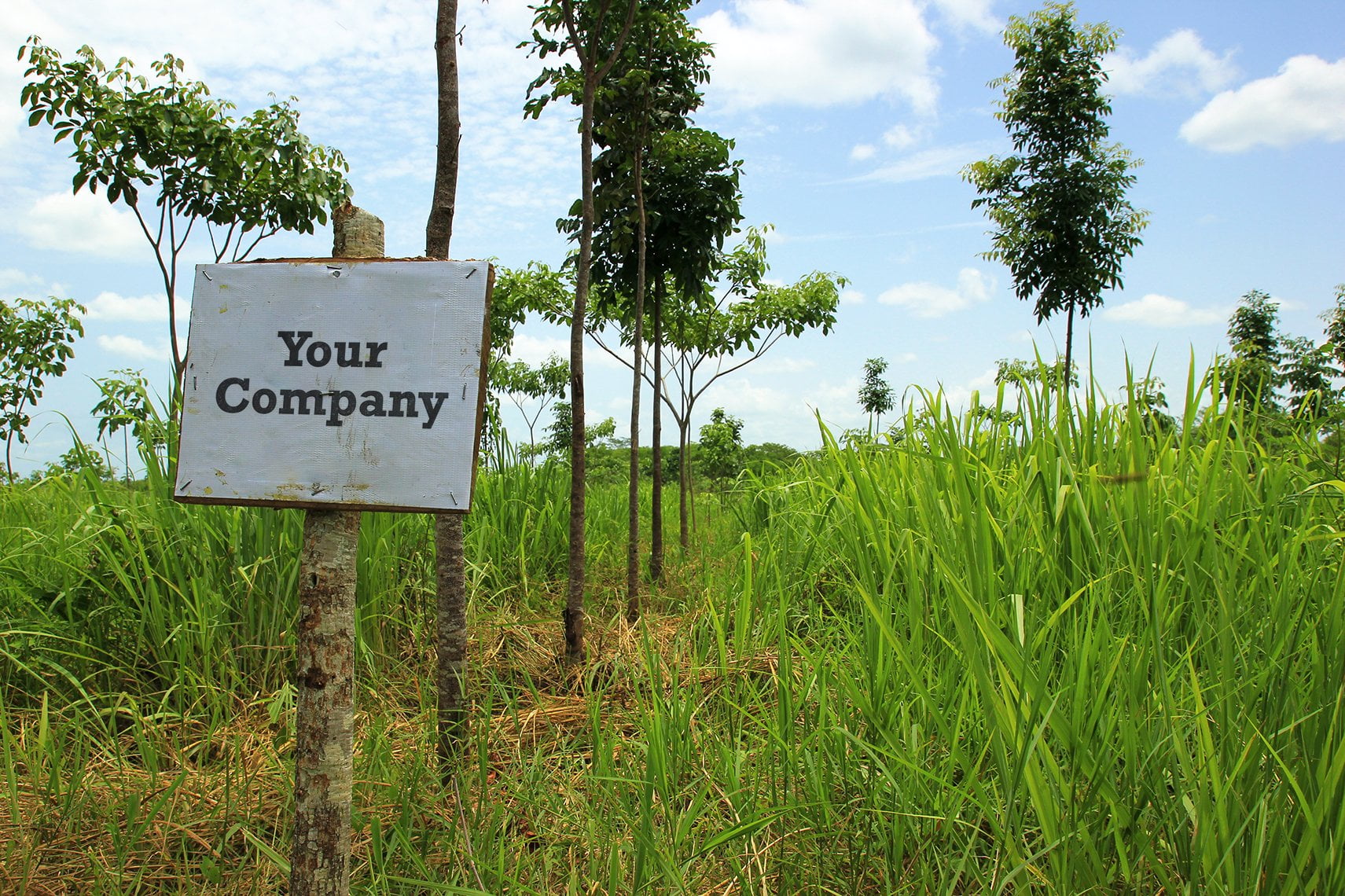 Develey sign on a planting site