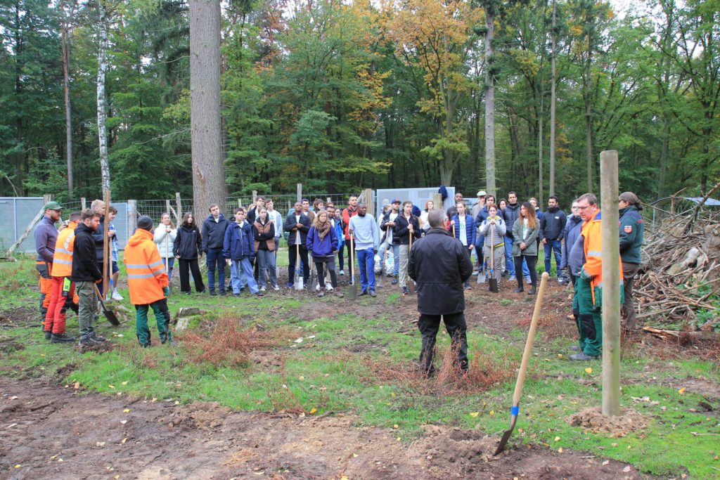 Tree planting session